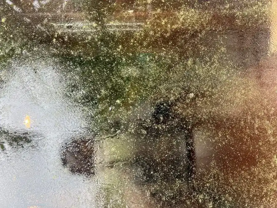 Algae-covered exterior wall before VertKleen CR