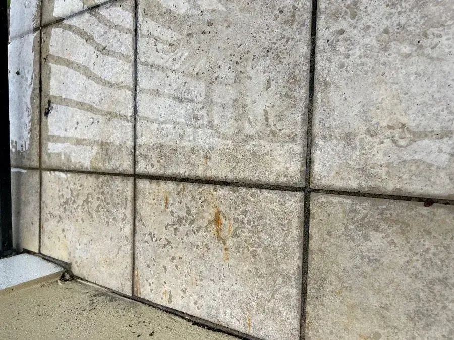 Walkway tile cleaned of grime and biological staining